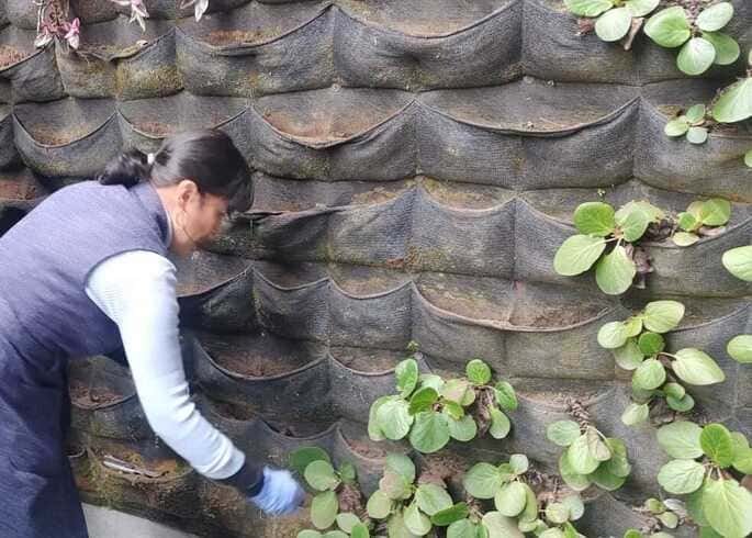 Agencia logística Fuerzas armadas