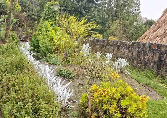 Casa de Paz shinawindua