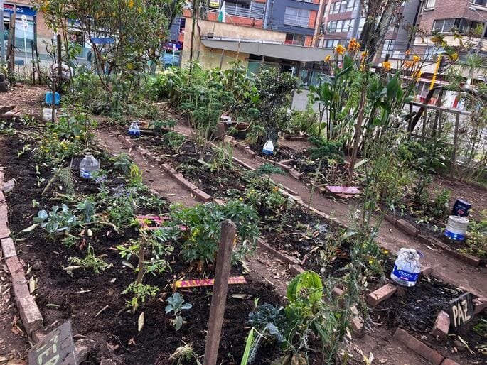 Huerta Alison Rescatando Raíces